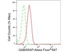 GABARAP Antibody in Flow Cytometry (Flow)