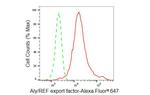 ALY Antibody in Flow Cytometry (Flow)