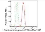 TMEM67 Antibody in Flow Cytometry (Flow)