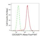 Cdc42EP1 Antibody in Flow Cytometry (Flow)
