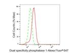 MKP-1 Antibody in Flow Cytometry (Flow)
