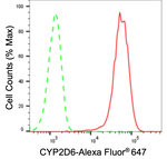 CYP2D6 Antibody in Flow Cytometry (Flow)