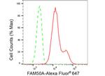 FAM50A Antibody in Flow Cytometry (Flow)