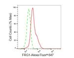 FRG1 Antibody in Flow Cytometry (Flow)