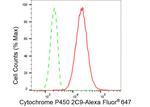 CYP2C9 Antibody in Flow Cytometry (Flow)