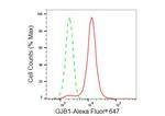 Connexin 32 Antibody in Flow Cytometry (Flow)