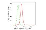 ERCC8 Antibody in Flow Cytometry (Flow)