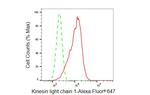 KLC1 Antibody in Flow Cytometry (Flow)