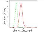 LGI1 Antibody in Flow Cytometry (Flow)