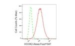 HOOK2 Antibody in Flow Cytometry (Flow)