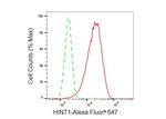 HINT1 Antibody in Flow Cytometry (Flow)
