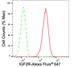 IGF2R Antibody in Flow Cytometry (Flow)