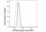 HTRA2 Antibody in Flow Cytometry (Flow)