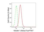 Cytokeratin 1 Antibody in Flow Cytometry (Flow)