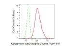 KPNA2 Antibody in Flow Cytometry (Flow)