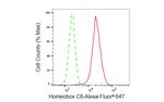 HOXC6 Antibody in Flow Cytometry (Flow)