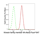 KIF4A Antibody in Flow Cytometry (Flow)