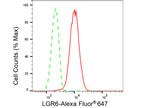 LGR6 Antibody in Flow Cytometry (Flow)