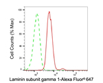 Laminin gamma-1 Antibody in Flow Cytometry (Flow)