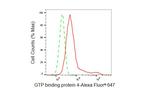 GTPBP4 Antibody in Flow Cytometry (Flow)