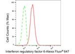 IRF6 Antibody in Flow Cytometry (Flow)