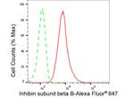 INHBB Antibody in Flow Cytometry (Flow)
