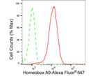 HOXA9 Antibody in Flow Cytometry (Flow)