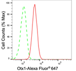 OTX1 Antibody in Flow Cytometry (Flow)