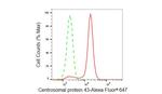 FGFR1OP Antibody in Flow Cytometry (Flow)