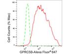 GPRC5B Antibody in Flow Cytometry (Flow)