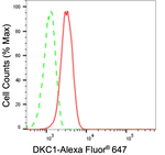 DKC1 Antibody in Flow Cytometry (Flow)