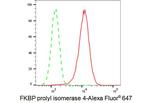 FKBP4 Antibody in Flow Cytometry (Flow)