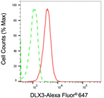 DLX3 Antibody in Flow Cytometry (Flow)