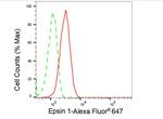 Epsin 1 Antibody in Flow Cytometry (Flow)