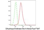 CRMP3 Antibody in Flow Cytometry (Flow)