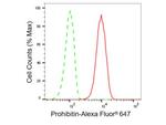 Prohibitin Antibody in Flow Cytometry (Flow)
