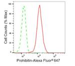 Prohibitin Antibody in Flow Cytometry (Flow)