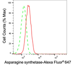 Asparagine Synthetase Antibody in Flow Cytometry (Flow)