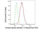 KIF11 Antibody in Flow Cytometry (Flow)