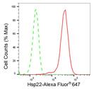 HSPB8 Antibody in Flow Cytometry (Flow)