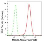 MCM6 Antibody in Flow Cytometry (Flow)