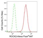 ROCK2 Antibody in Flow Cytometry (Flow)