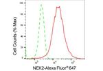 NEK2 Antibody in Flow Cytometry (Flow)
