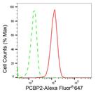 PCBP2 Antibody in Flow Cytometry (Flow)
