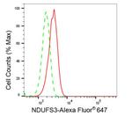 NDUFS3 Antibody in Flow Cytometry (Flow)