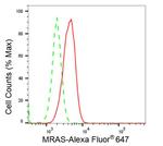 MRAS Antibody in Flow Cytometry (Flow)