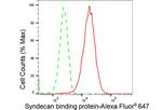 Syntenin 1 Antibody in Flow Cytometry (Flow)