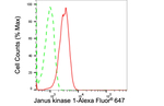 JAK1 Antibody in Flow Cytometry (Flow)