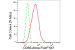 DDB2 Antibody in Flow Cytometry (Flow)