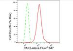 PAK2 Antibody in Flow Cytometry (Flow)